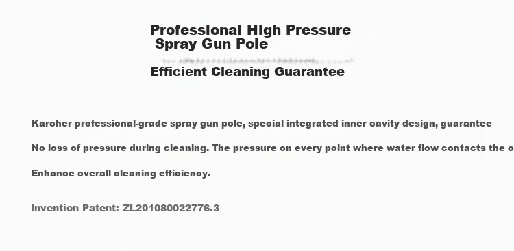 KARCHER German High-Pressure Car Washer K5PPC with Visual Spray Gun, High-Pressure Water Gun, And Garden Cleaning Machine 7