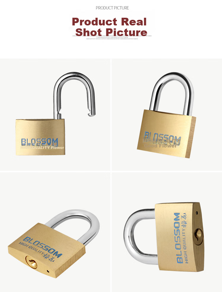 BLOSSOM Copper Padlock, 45MM, Double Latch Anti-Theft Rust-Resistant Lock, for Trunk And Cabinet Doors, 075 6