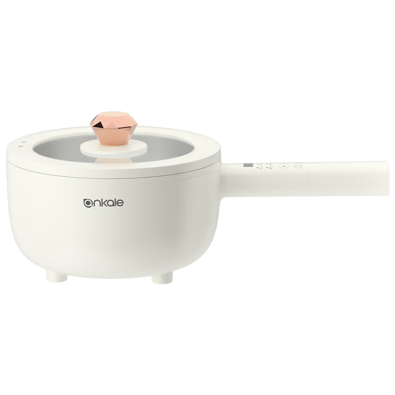 Ankale Stainless Steel Long Handle Electric Cooking Pot 0 Fluorine 0 Coating Baby Grade 316 Seamless Integrated Inner Pot Multi-Function Steaming Boiling Stewing AJL-A3003K