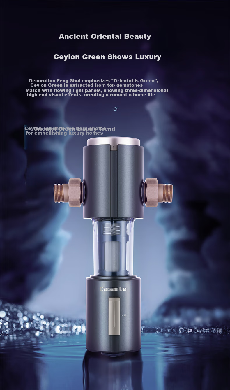 Casarte Pre-Filter 9T/H Household Whole-House Central Water Purification, Suction Reverse Flushing High Flow Rate, Pipeline Water Filter CP-41 (F) 4