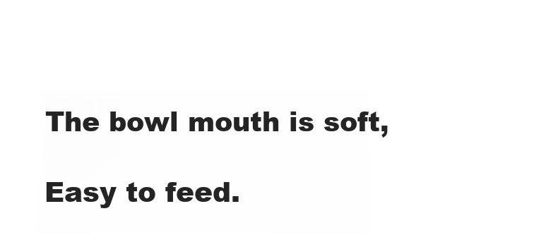 Huangchong Baby Food Bowl, Newborn Bowl, Specialized for Feeding Water And Milk to Infants, Silicone Soft Spout, for Eating Rice Porridge, PPSU Bowl 4