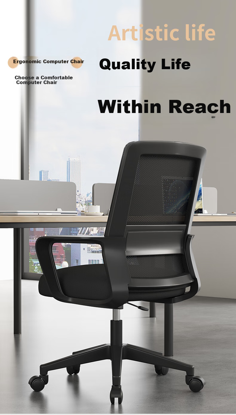 SGMW Computer Chair, Home Office Chair with Backrest, Ergonomic Chair, Swivel Chair for Study And Work, Executive Chair, Gaming Chair for E-Sports 2