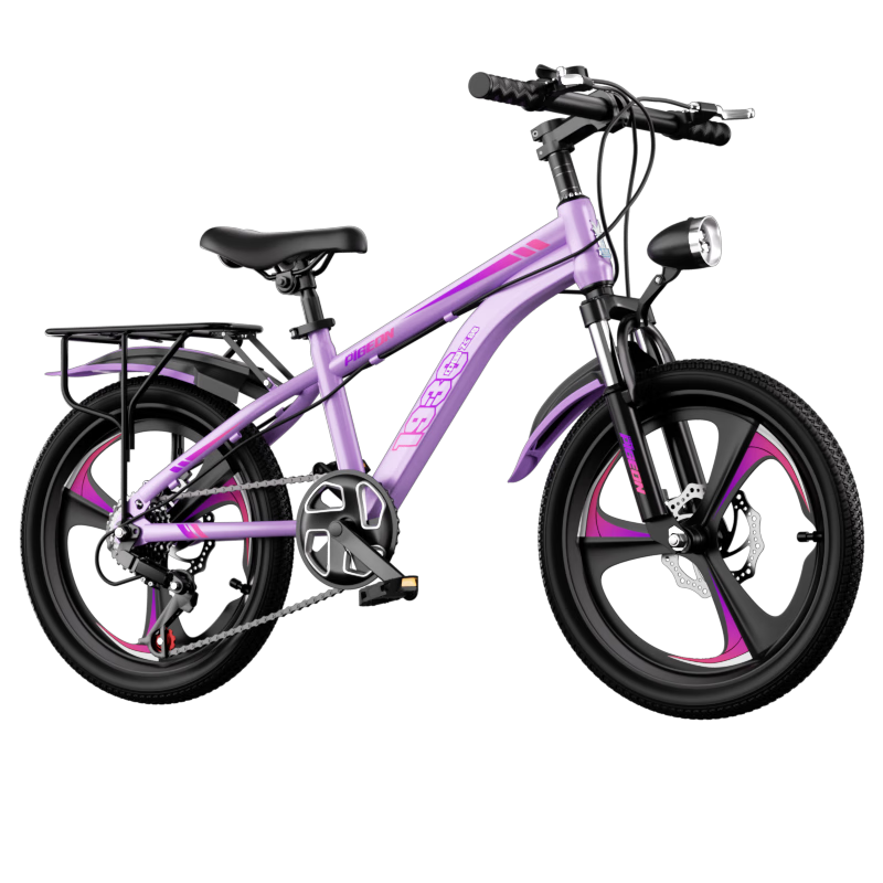 Feige Youth Bicycle 24-inch Purple Mountain Bike for Boys and Girls Ages 6-18 with Gear Shifting