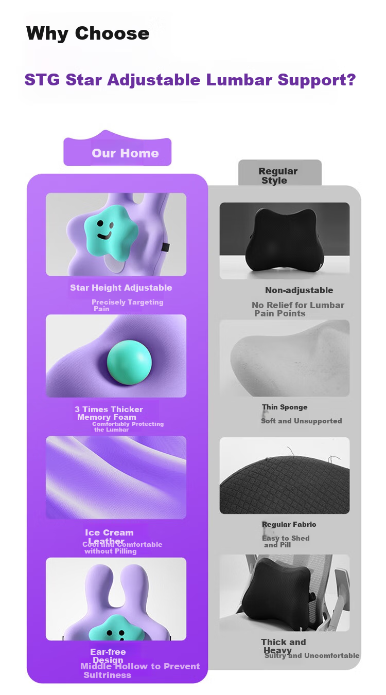 SITGOOD Lumbar Support Cushion, Office Back Pillow, STG Seat Pad, Long-Sitting Waist Protector, Mid-Autumn Festival Gift, Purple 2