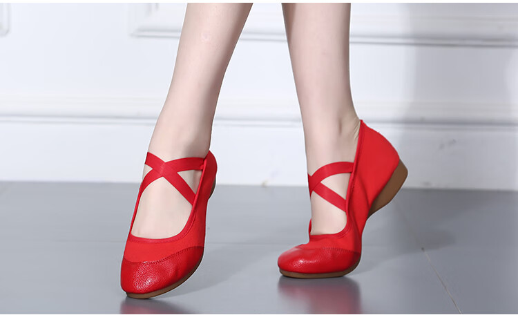 Teslita Red Dance Shoes Women Soft Sole Middle-Aged and Elderly Adult Mid-Heel Square Dance Canvas Shoes Black 12