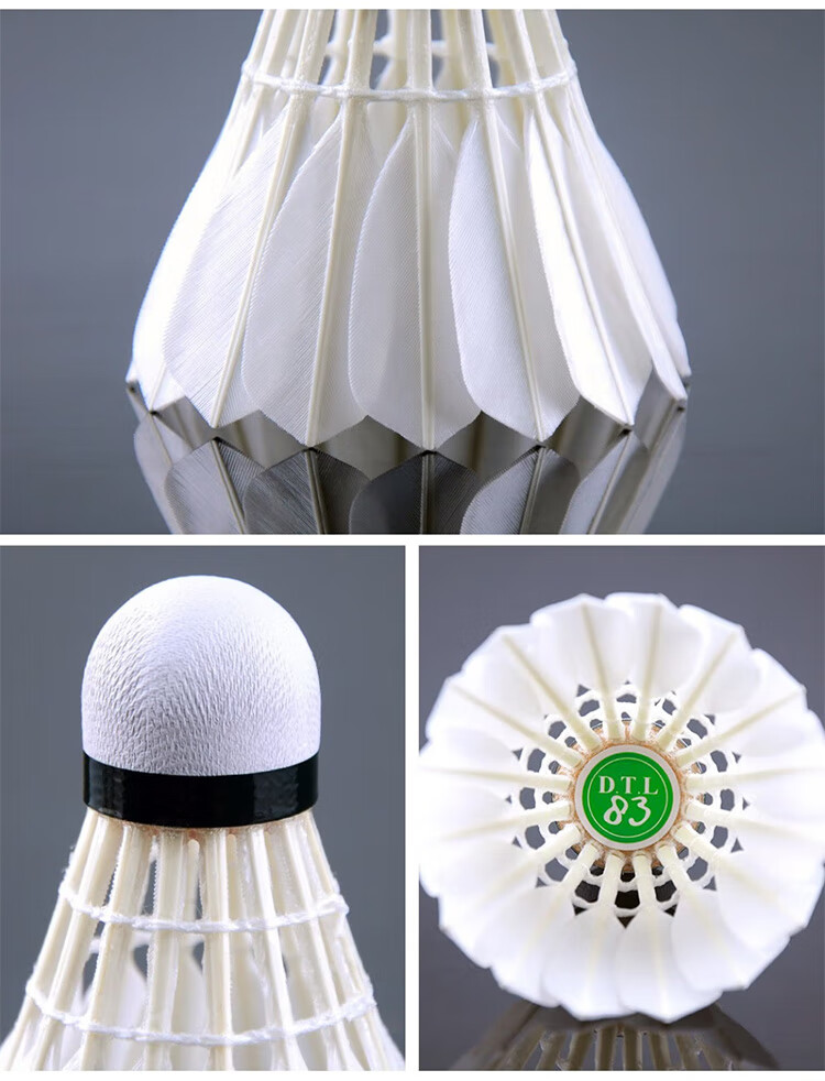 RSL Badminton Training Practice Shuttlecocks Daitongli DTL-83, Speed 76, 12 Pieces Per Tube 4