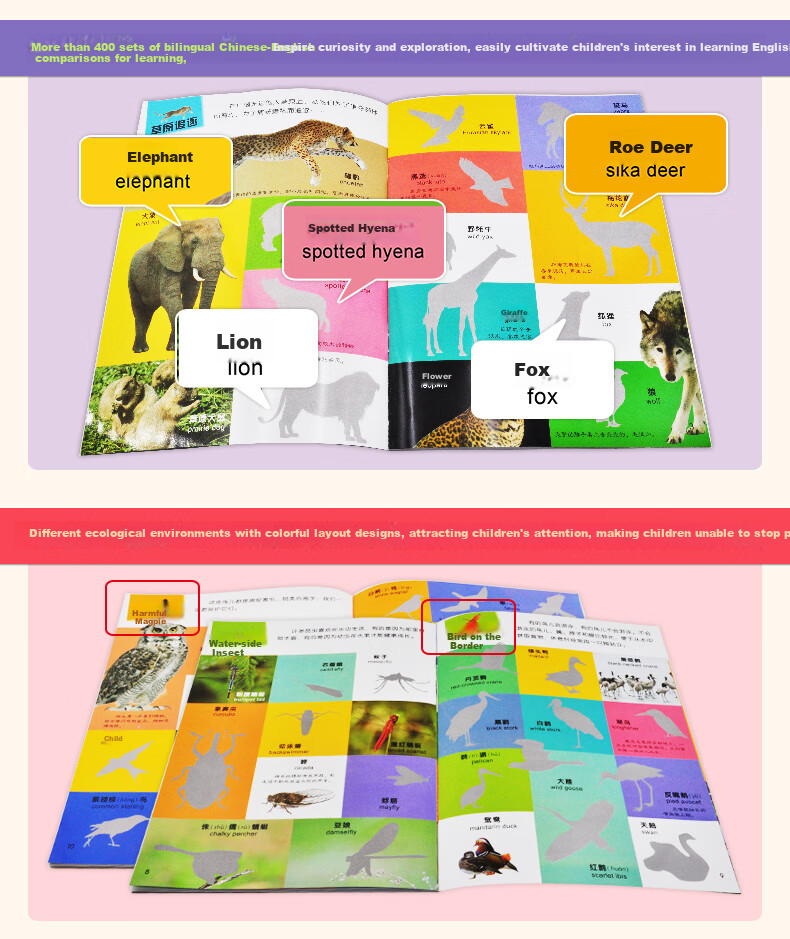 BANGSON Animal Cognition Stickers, Educational Toy Set for Boys And Girls Aged 2-5, Early Learning Enlightenment, Complete 4 Volumes 3