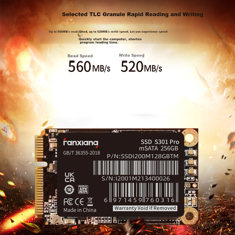FANXIANG 256GB SSD Solid State Drive, mSATA Interface, Compatible with Desktop Computers And Laptops, S301PRO