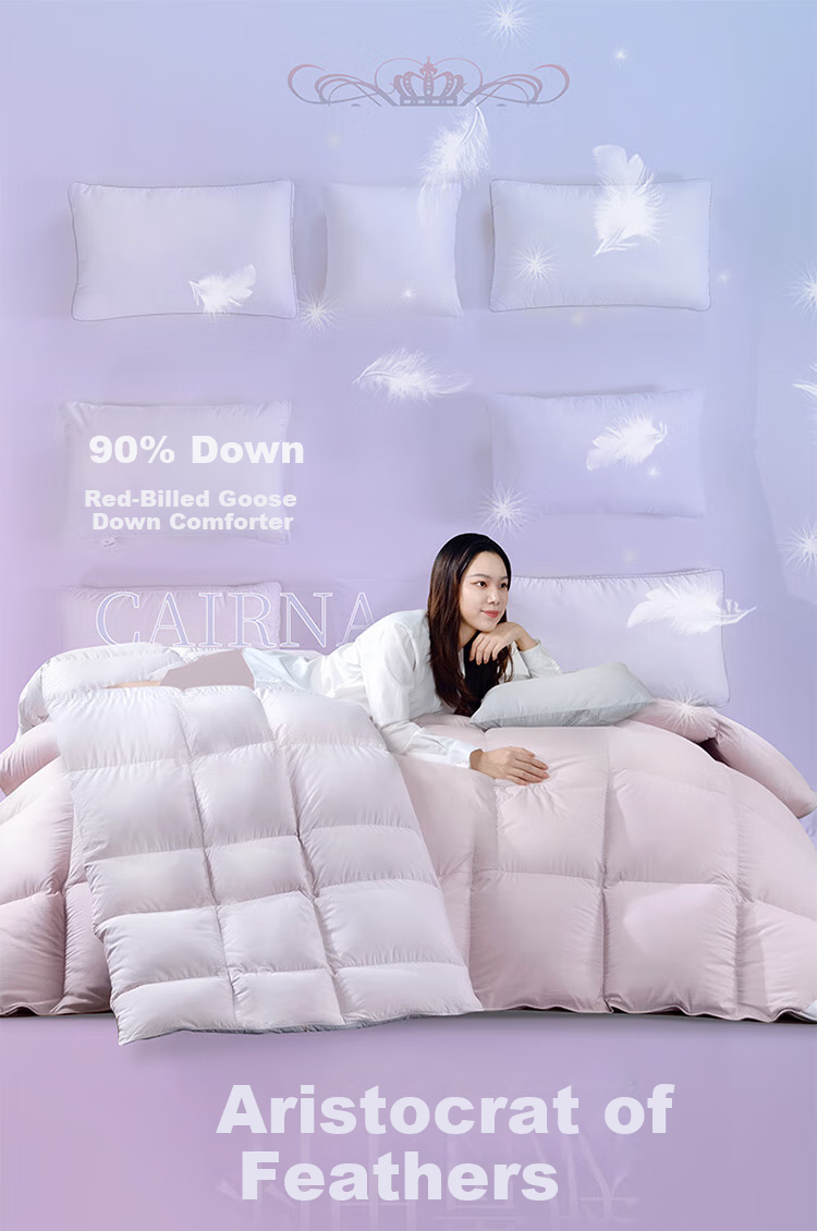 FUANNA down Comforter, 90% Grey Duck down Duvet, Double Size All-Season Comforter for Spring And Autumn, 600g Filling, 203x229cm 1