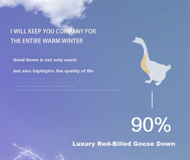 FUANNA down Comforter, 90% Grey Duck down Duvet, Double Size All-Season Comforter for Spring And Autumn, 600g Filling, 203x229cm 4