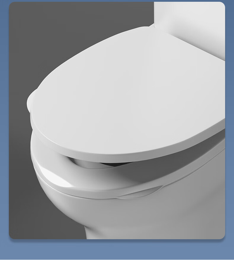 BSITN Slow-Closing U-Shaped Enlarged Toilet Seat Cover Universal Thickened Old-Style Toilet Ring BP040 14
