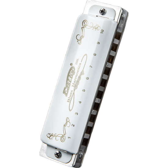 EAST TOP Bruce Harmonica, 10 Holes, T008L, PADDY C Key
