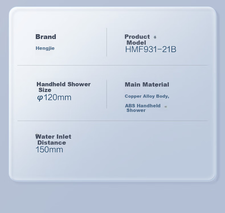 HEGII Shower Head, Copper Alloy, Compact Size, Detachable Handheld High-Pressure Spray Head, Model HMF931-21 16