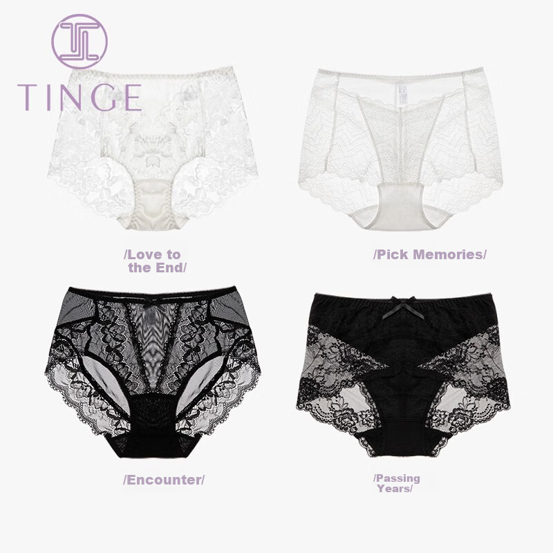 TINGE Women's Sexy Lace Seamless Underwear Plus Size Mother's Day 4-Pack M