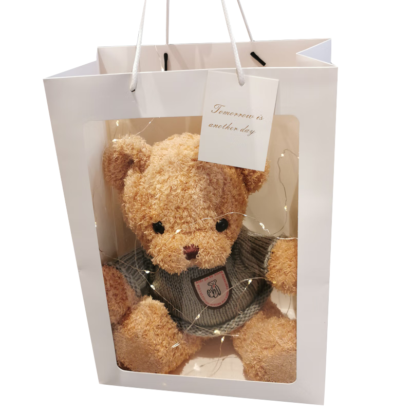 Aishangxiong Bear Plush Toy, Stuffed Animal Doll, Birthday Gift for Girls, Present for Female Friends, Pillow, Sleeping Companio