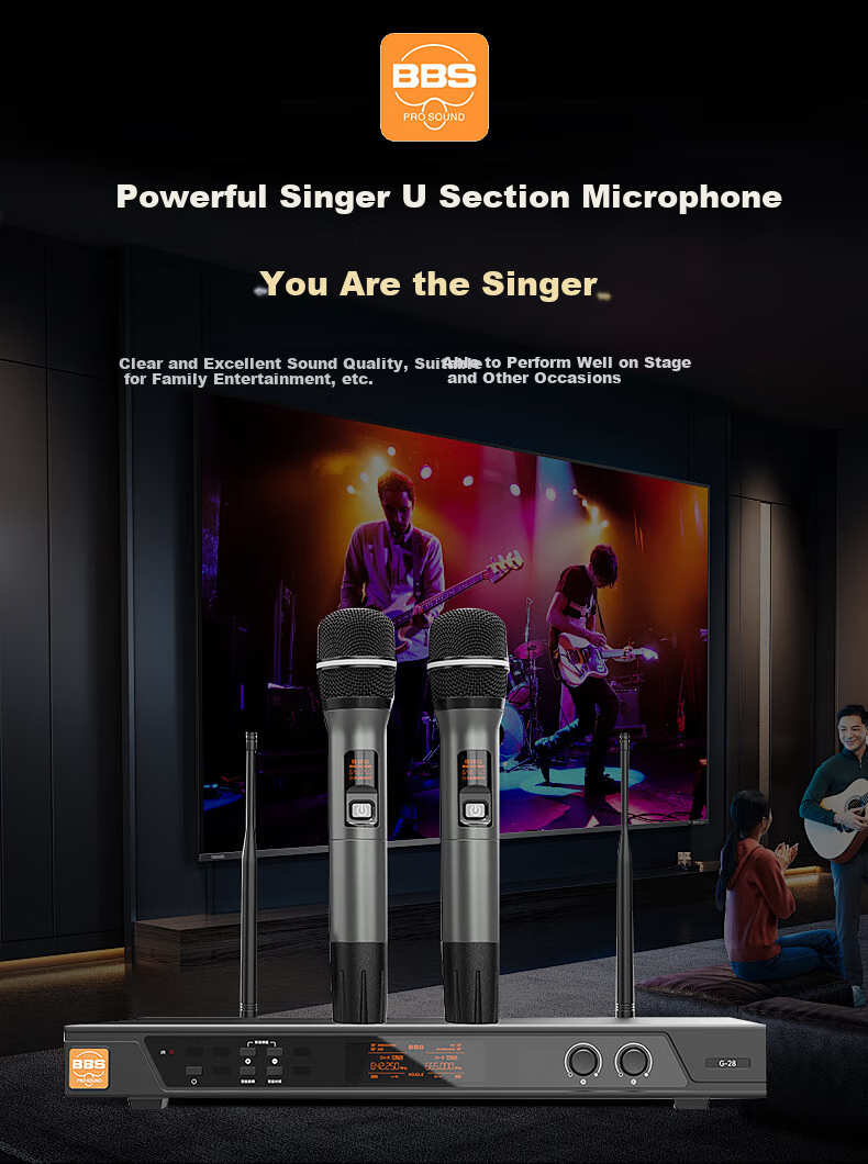 BBS G-28 [Flagship Bestseller], Wireless Microphone System, UHF Dual-Channel Professional Teaching Microphones, Stage Host Microphones, KTV Home Karaoke System for Family Use 9