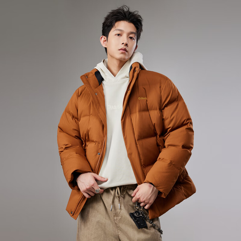 CABBEEN Men's Down Jacket with Nine-Grid Floral Pattern Channel Fabric, Textured Embossed Material, Winter Stand Collar Puffer Coat