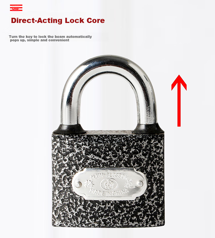 BLOSSOM Padlock for Warehouse, School, Home Use, Indoor And Outdoor Security Lock with Brass Core, Rust-Resistant Lock, 38mm BC1338 6