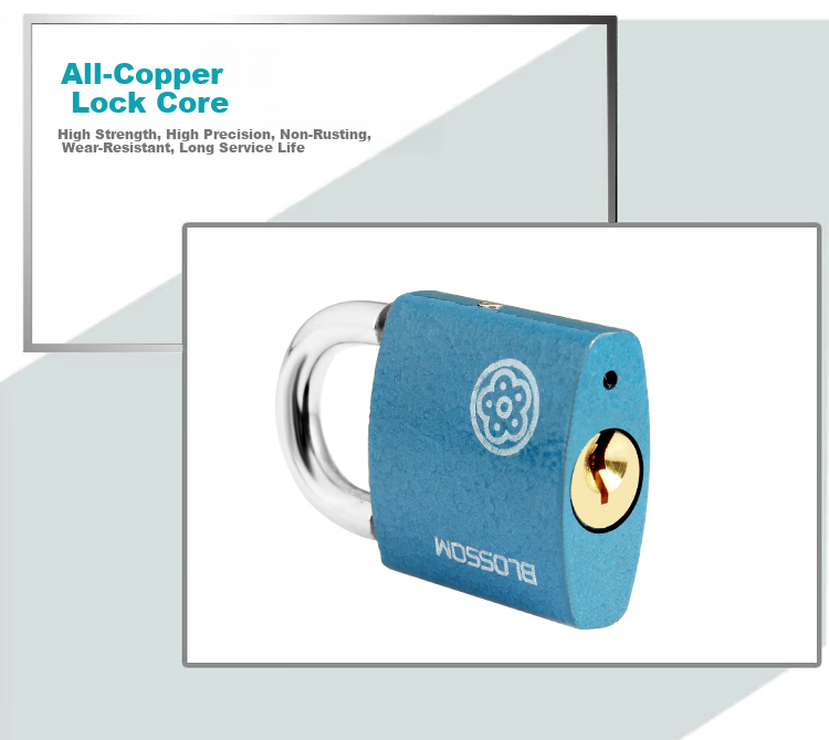 BLOSSOM Master Key Padlock Door Lock BC2950-1 Blue 50MM One Key Opens Multiple Locks 3