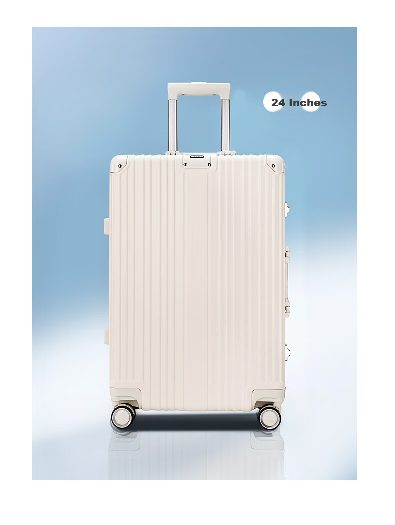 MEXICAN Aluminum Frame Suitcase, Unisex 24-Inch Trolley Case with Password Lock, Travel Luggage for Business Trips, Leather Suitcase, Check-In Luggage, Silver Color 12