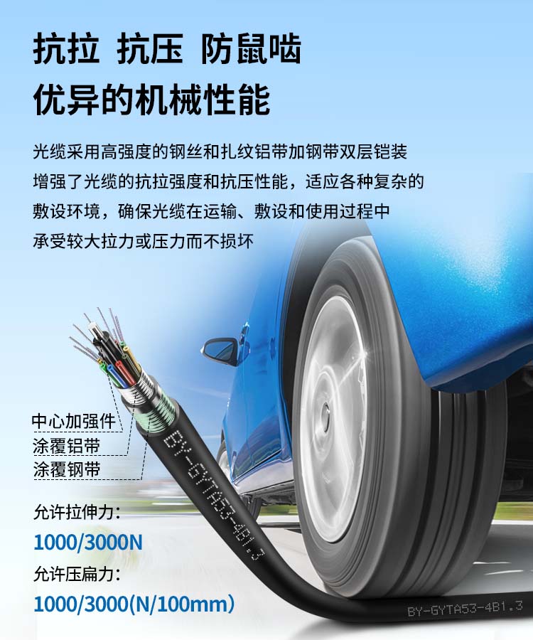 BOYANG GYTA53 Heavy Armor Buried Single-Mode Outdoor Optical Cable, 4-Core Optical Cable, Four-Core Twisted Pair Direct-Buried Armored Communication Fiber Optic Cable, 1 Meter, BY-GYTA53 5