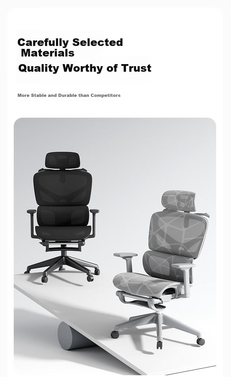 Sanxing SX-1897 Ergonomic Office Chair with Dual Backrest, Computer Chair, Ergonomic Gaming Chair, Dragon Pattern Mesh, Gray 10