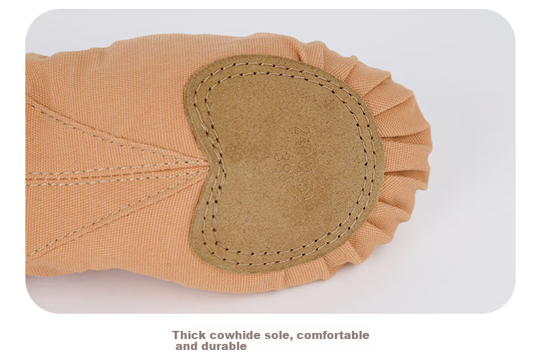 Aiwuge Professional Dance Shoes for Women, Soft-Soled Practice Shoes, Elastic Ballet Shoes, Teacher's Cat Paw Shoes, Ballet Pink, Size 35 9