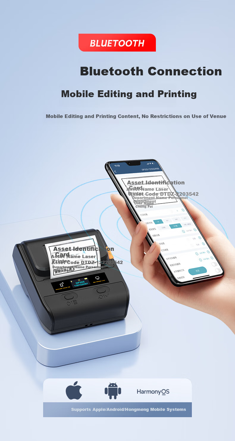 Detong DP30S Fixed Asset Label Printer, Silver Thermal Matte Office Label, Self-Adhesive Inventory Coding Barcode Label Machine, DP30S+1 Roll 60*40 Silver Paper 3