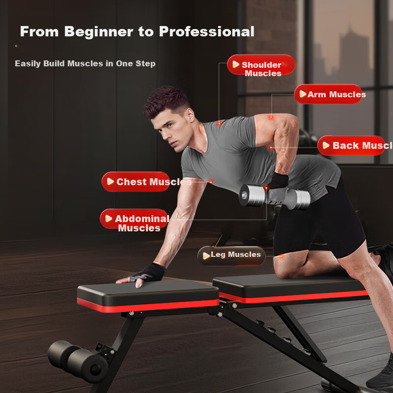 XTEP Dumbbell Bench, Bench Press Chair for Men, Sit-Up Assist Frame, Fully Foldable, Home Fitness Training, Multifunctional Equipment for Abdominal Muscles