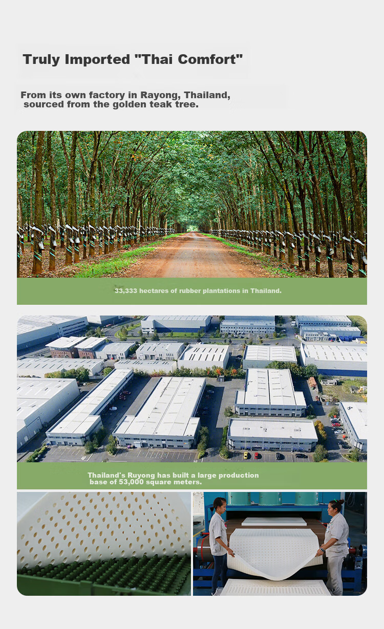 Jinxiangshu Latex Mattress, Imported from Thailand, Natural Latex, Home And Student Use, 1.5*2 Meters, Medium Firmness 6