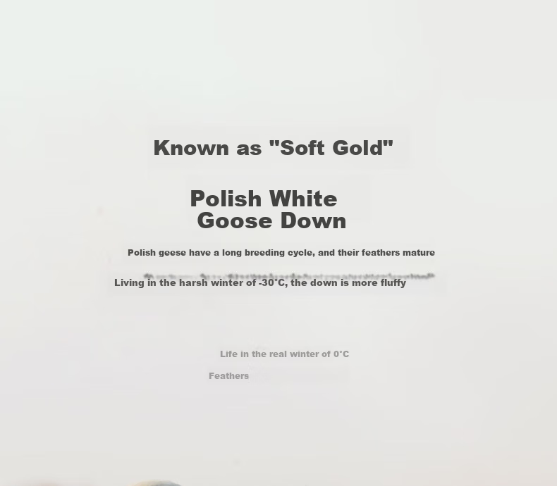 Interlagos Class A 90% White Goose Down Comforter, Imported from Japan, Air Conditioning Quilt, 280g, 200*230cm, White 14