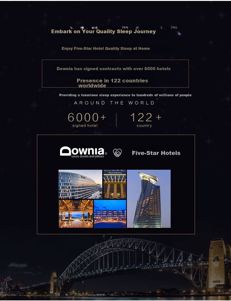 Downia Australian Pillow, Five-Star Hotel Upgraded Version, 95% White Goose Down Pillow Core, 48*74CM 3