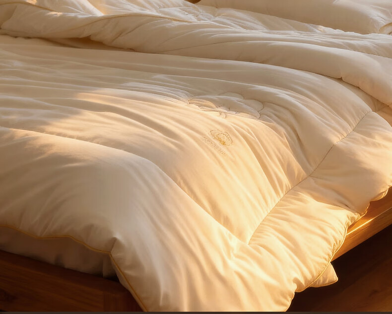 Mercury Home Textile Cotton Quilt Cotton Comforter Core Pure Cotton Class A Xinjiang Cotton Single Approximately 4 Jin 150x210cm 7