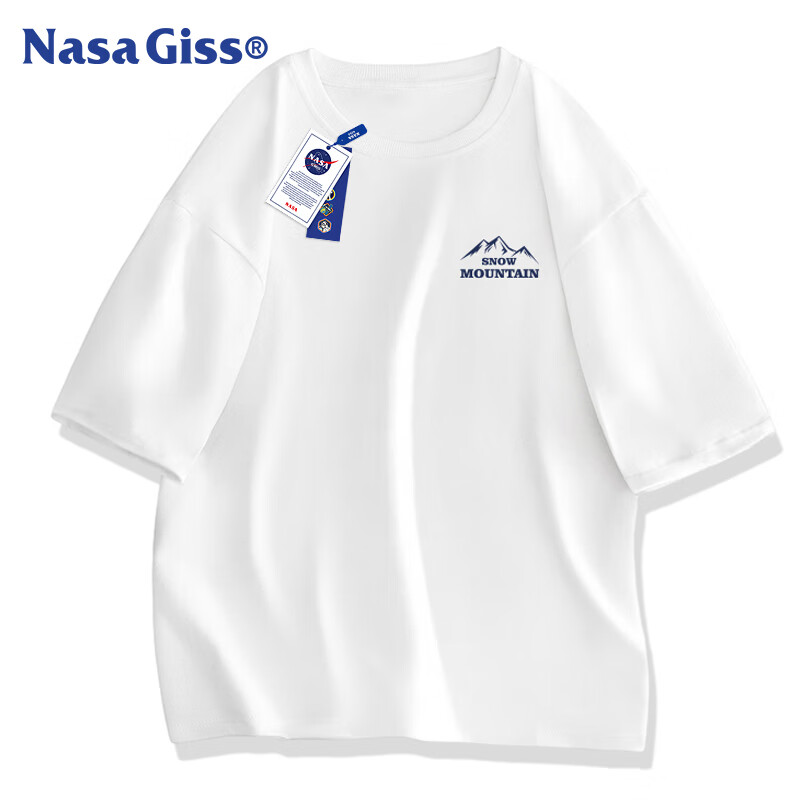 NASA GISS -01261393