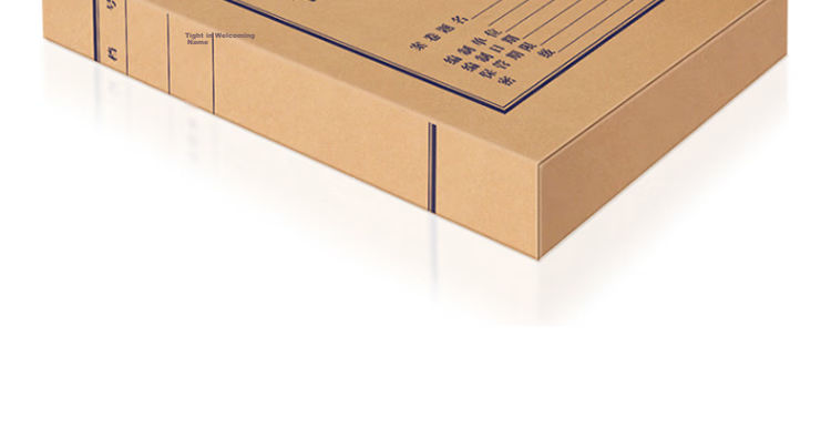 DiLe Premium Series Acid-Free Kraft Paper File Box, Large Capacity A4 Document Storage Box, 2cm Office Supplies, Pack of 10, 1322 16