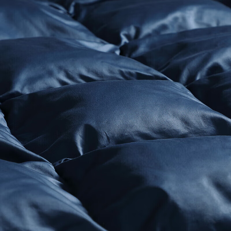 FUANNA Down Quilt 95% White Goose Down Imported 120-Thread Count Class A Thickened Quilt 1200g Filling 230x229cm