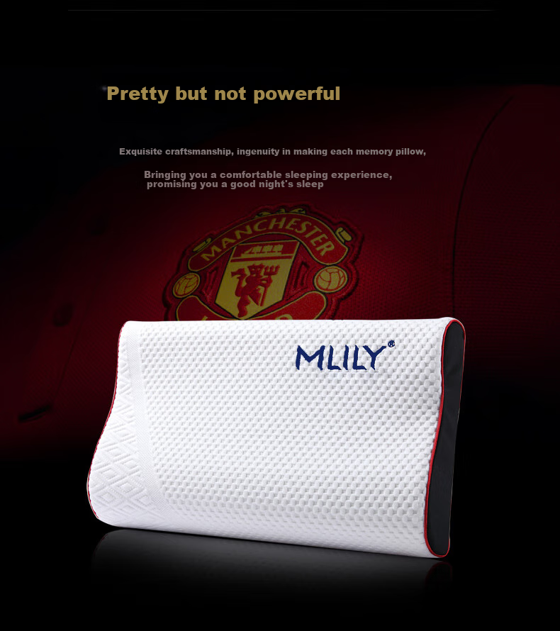 MLILY Slow Rebound Memory Foam Pillow Core Cervical Spine Sleep Adult Sleeping Manlian Care Pillow L 60*40*12cm 2