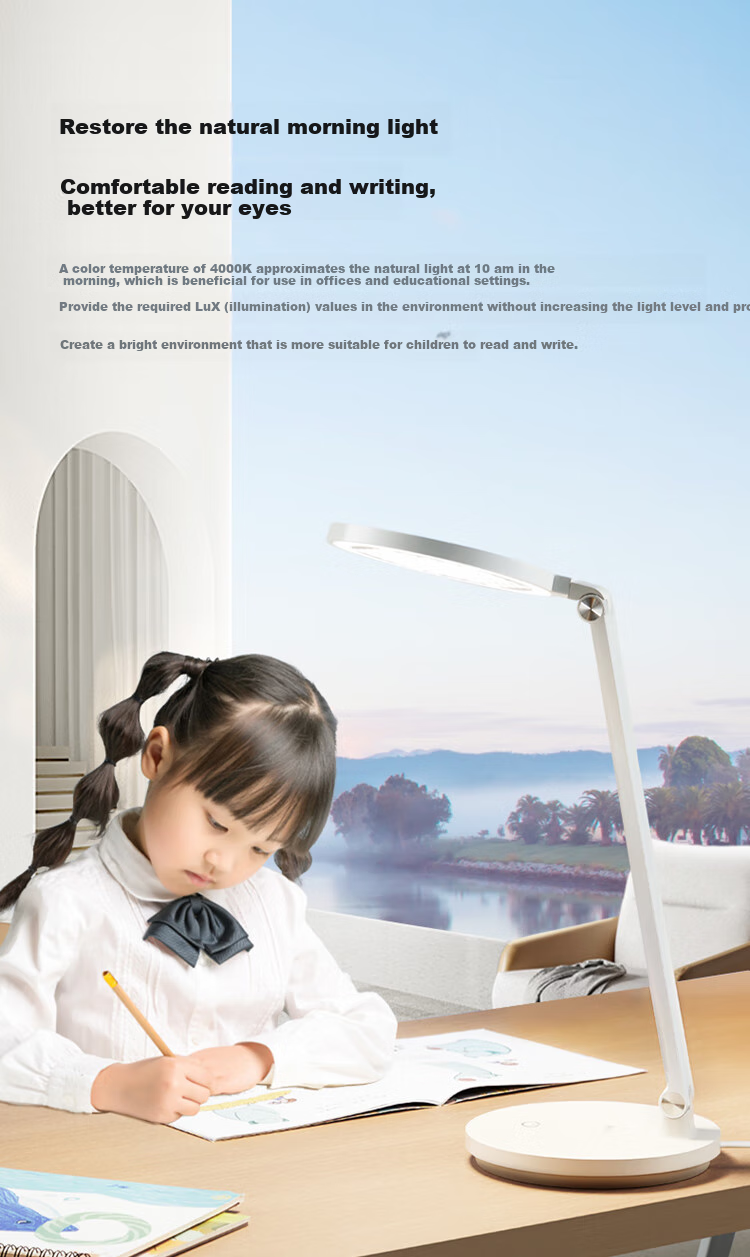 BULL Socket Desk Lamp, AA-Grade Full Spectrum Lighting, ML-E012E Stepless Dimming, C-Port Supports 67W Fast Charging 5