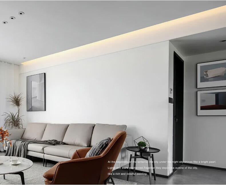 Eiperfic High Brightness COB LED Strip Light Outdoor Waterproof Ceiling Soft LED Tape with Adhesive White Light 10m EF-COBD-220V 2