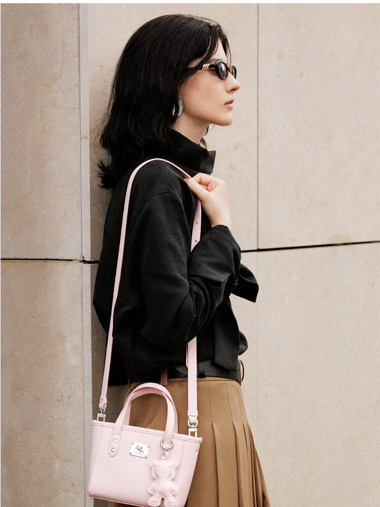 NUCELLE Pegasus Mini Tote Bag, New Light Luxury Niche Basket Handbag, Commuter Shoulder Crossbody Women's Bag Gift 20