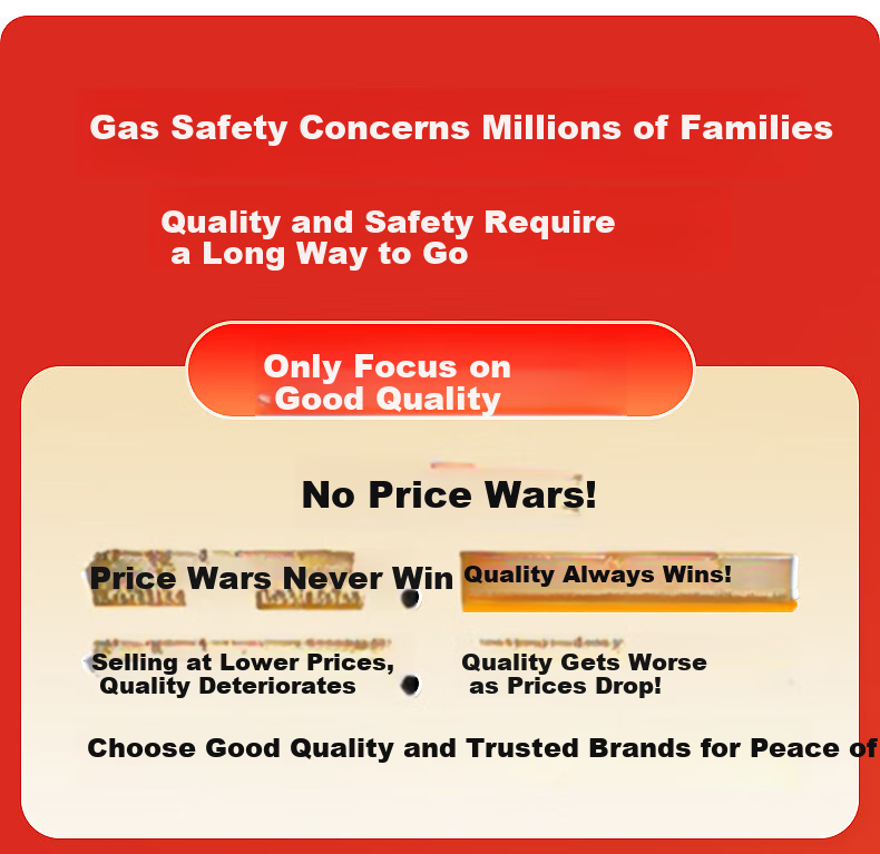 Haili 5-Meter Natural Gas Dedicated Flexible Pipe, Corrugated Pipe, National Standard Household Stainless Steel Gas Stove And Water Heater Connection Hose 8