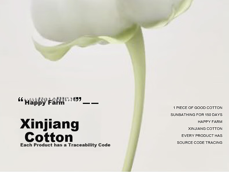 Shuixingjiafang Xinjiang Cotton Quilt, Student Dormitory Pure Cotton Comforter, Winter Cotton Duvet Insert, Single Person, Approximately 4.5 Ji 2