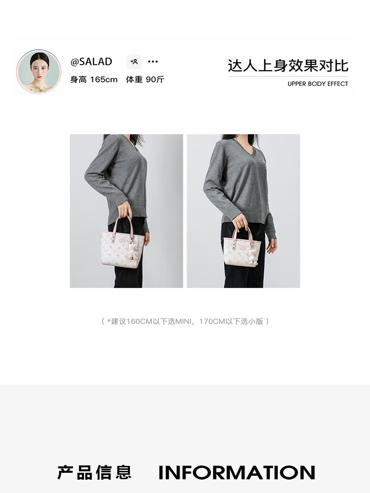 NUCELLE Pegasus Mini Tote Bag, New Light Luxury Niche Basket Handbag, Commuter Shoulder Crossbody Women's Bag Gift 3