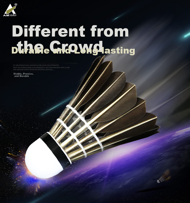 Amusi Badminton Shuttlecocks, Durable, Black Goose Feather, for Competition And Training, 1 Tube of 12 1