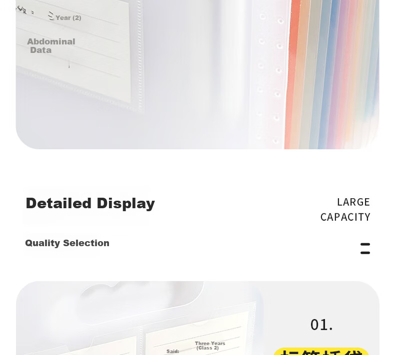 Sannianerban [Back to School Essential] Colorful 24-Grid File Folder Exam Paper Storage Bag, Large Capacity Accordion File, Expandable Document Organizer, Receipt And Document Storage Folder, Transparent 10