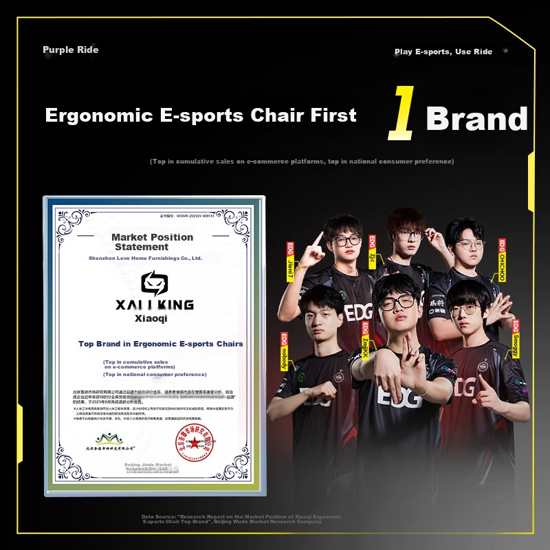 Xiaoqi X5 Gaming Chair, Ergonomic Chair, Gaming Computer Chair, Office Student Home Use, Dual C Lumbar Pillow, Reclining, Long Sitting without Fatigue