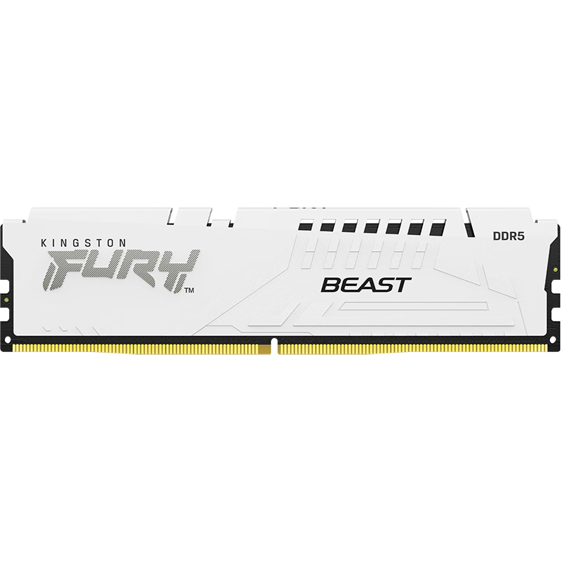 Kingston FURY 64GB (32GBx2) DDR5 6400 Desktop Memory Kit Beast Super Beast Sea A-die CL32 XMP & EXPO Support White