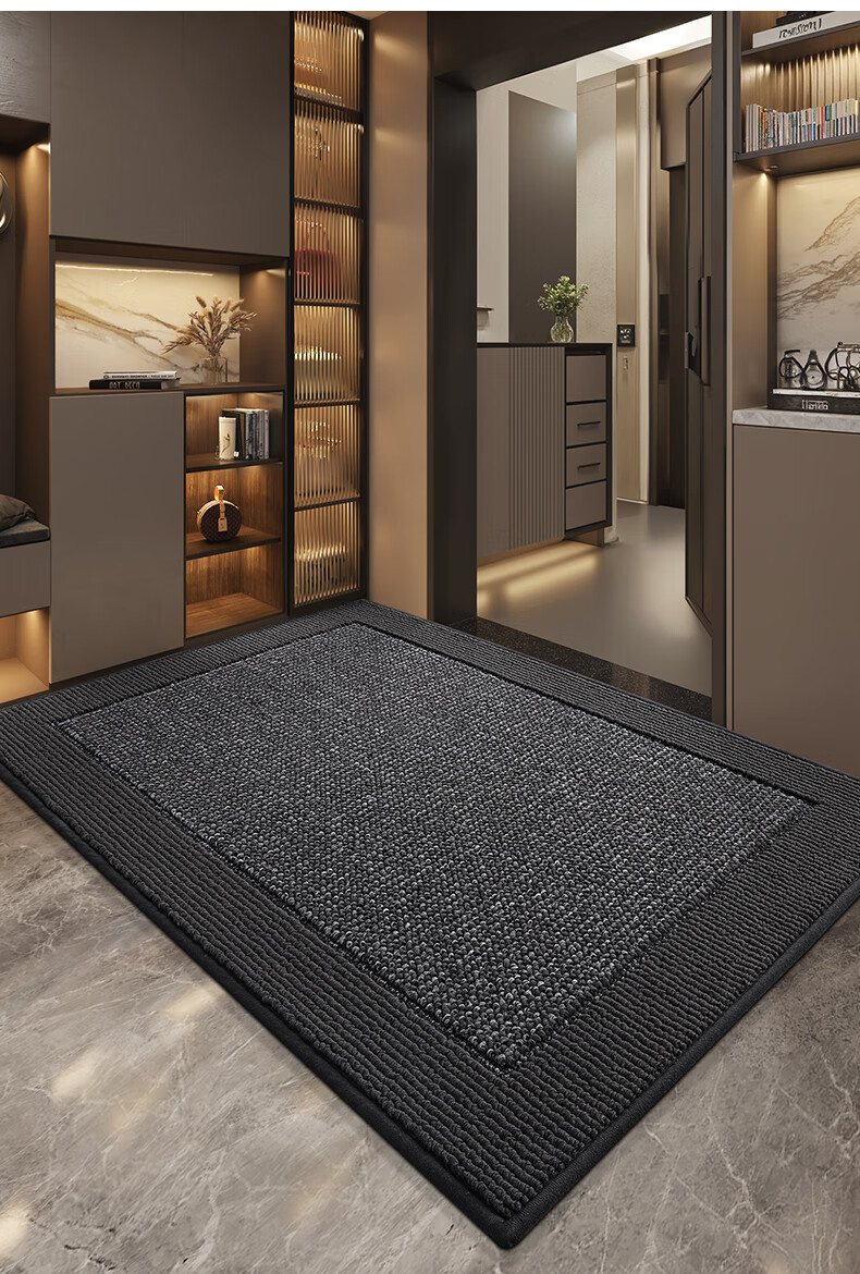 Dajiang Entrance Door Mat Floor Mat 2026 New High-End Carpet 60x90cm 20