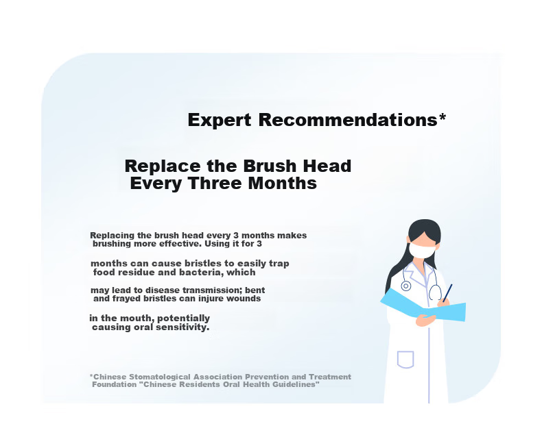Midea Electric Toothbrush Heads TY2 Compatible with S1PX/MR1 New Version/S5/YS7/YM3/YM6pro/YM502, Brush Heads*2 2