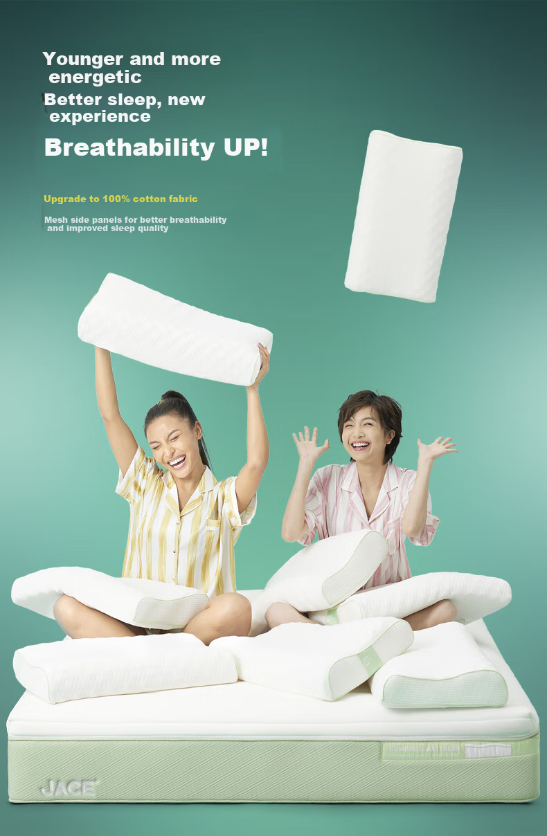 JaCe Thai Imported Latex Pillow, Bread-Shaped Cervical Pillow, 96% Natural Latex Content 4